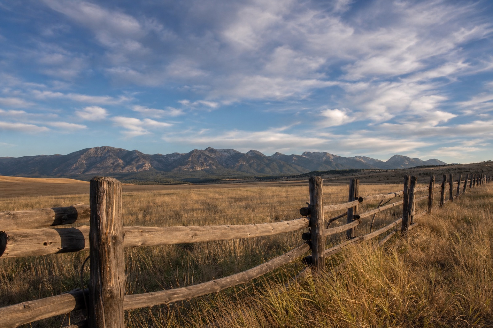 Fence crossing golden Montana grassland with mountains in the distance