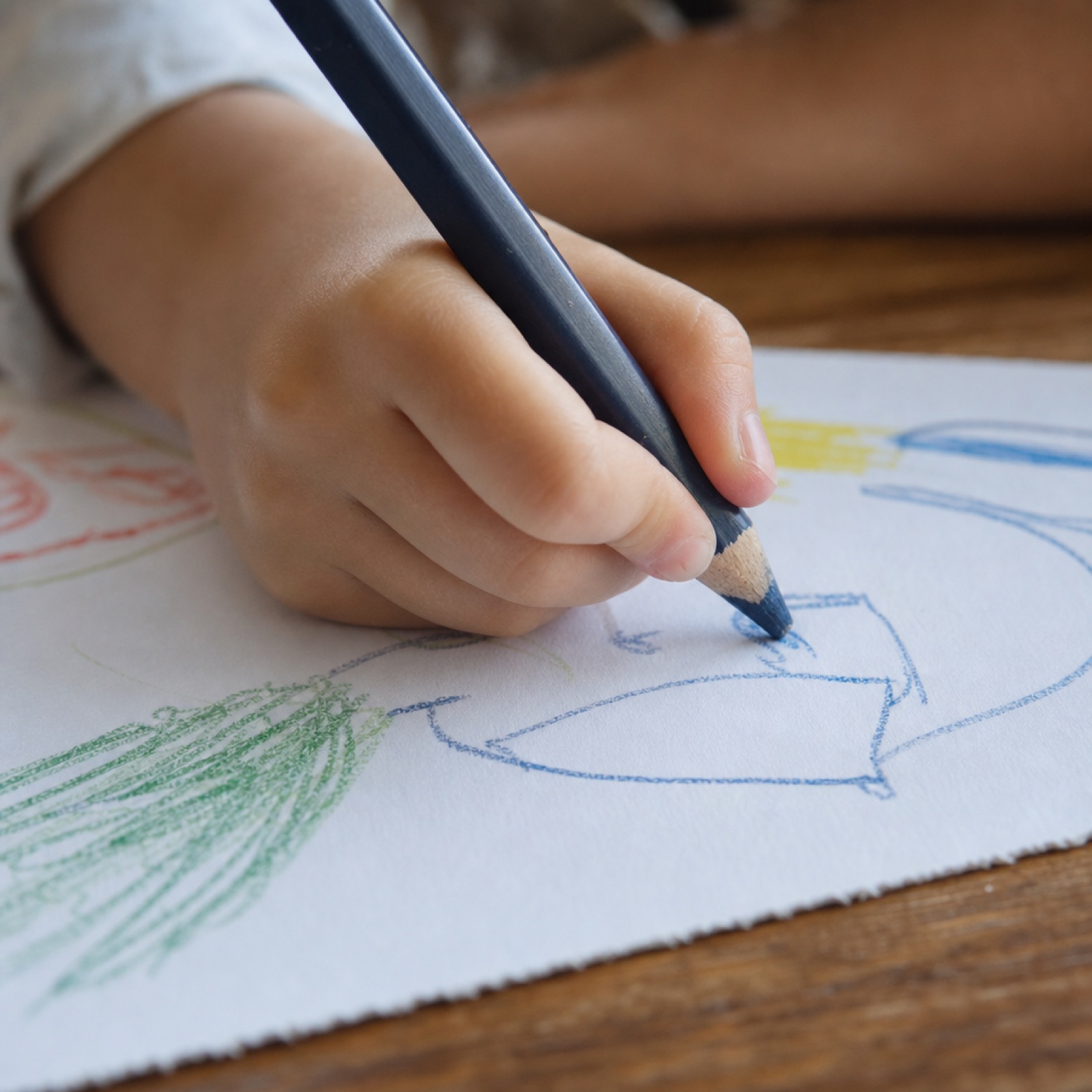 Fine Motor and Handwriting in everyday life