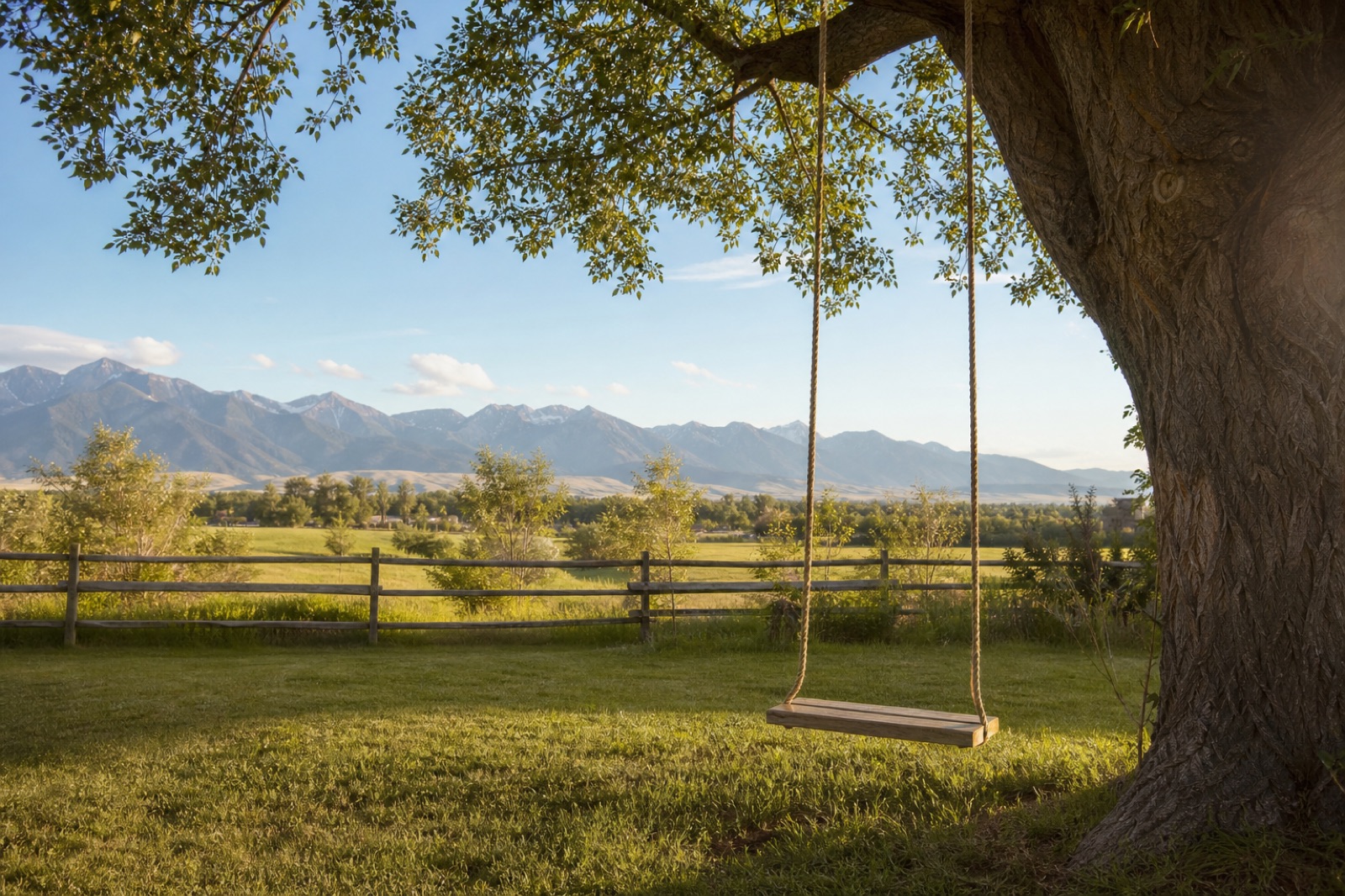 Mountain homestead with a tree swing in a grassy yard